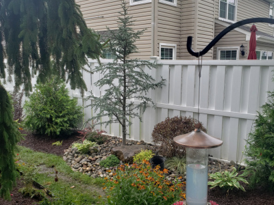 20190814_135916