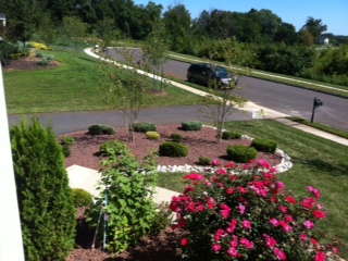 photo-5