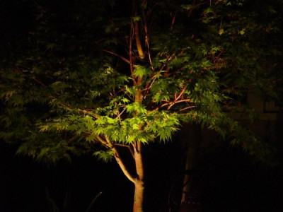 april-09-0601